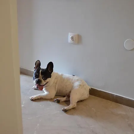 Anestis شقة سالونيك