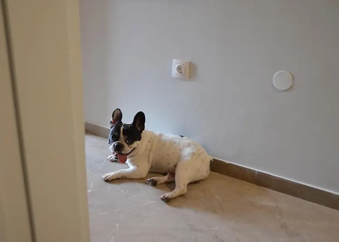 Anestis Appartement Thessaloniki